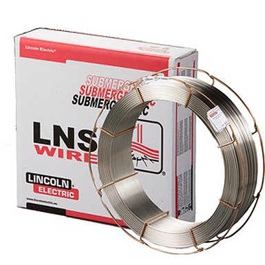LNS 318