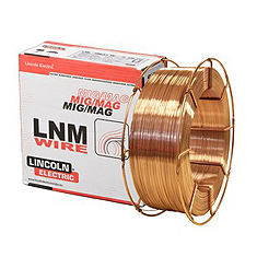 LNM 19